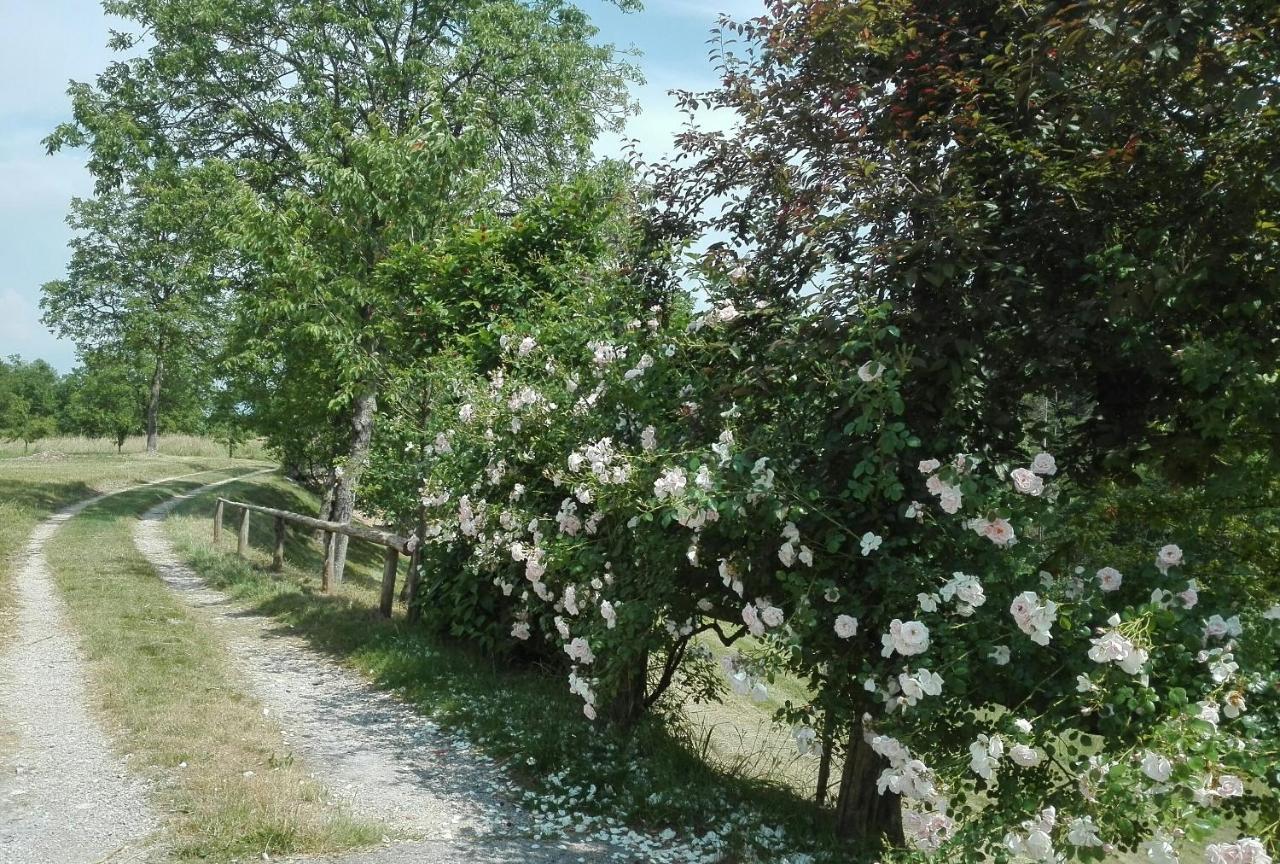 Locanda San Martino Massac Exterior foto